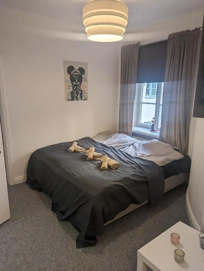 Large Stylish Apartment In Central 스톡홀름